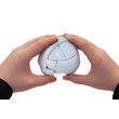 Joc Recent Toys - Morph's Egg