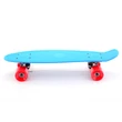 Skateboard 55 cm