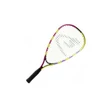 paleta bedminton