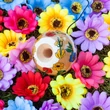 Kendama Krom Collabs - Flowers
