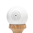 Kendama Krom Pro Mod - SOMA - POWDER COZO