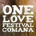 OneLoveFest 2010