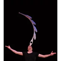 The evolution of juggling @ TEDx, speaker Jay Gilligan