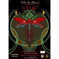 Zile de Miere - Stup Party
